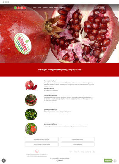 طراحی سایت شرکت شفیع