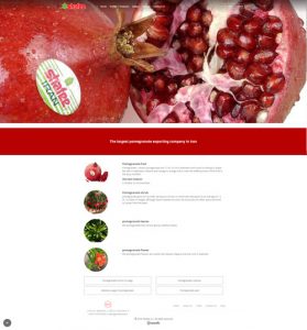 طراحی سایت صادرات انار شفیع